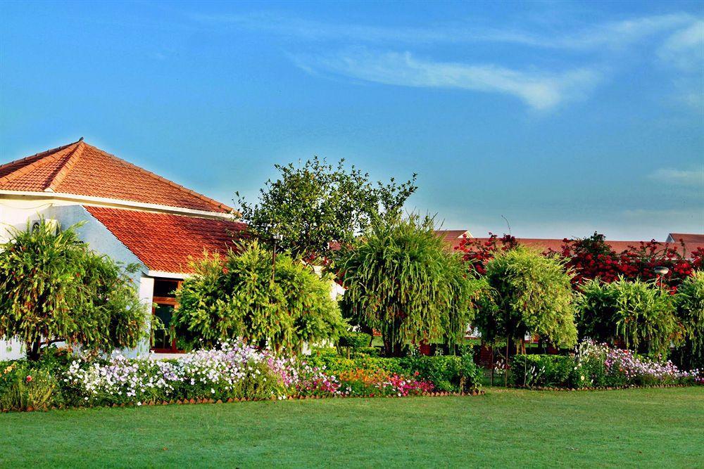 Naturoville Ayurvedic And Yoga Retreat Hotel Rishikesh Ngoại thất bức ảnh