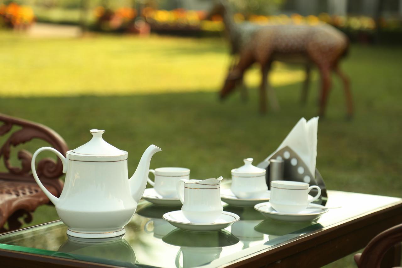 Naturoville Ayurvedic And Yoga Retreat Hotel Rishikesh Ngoại thất bức ảnh