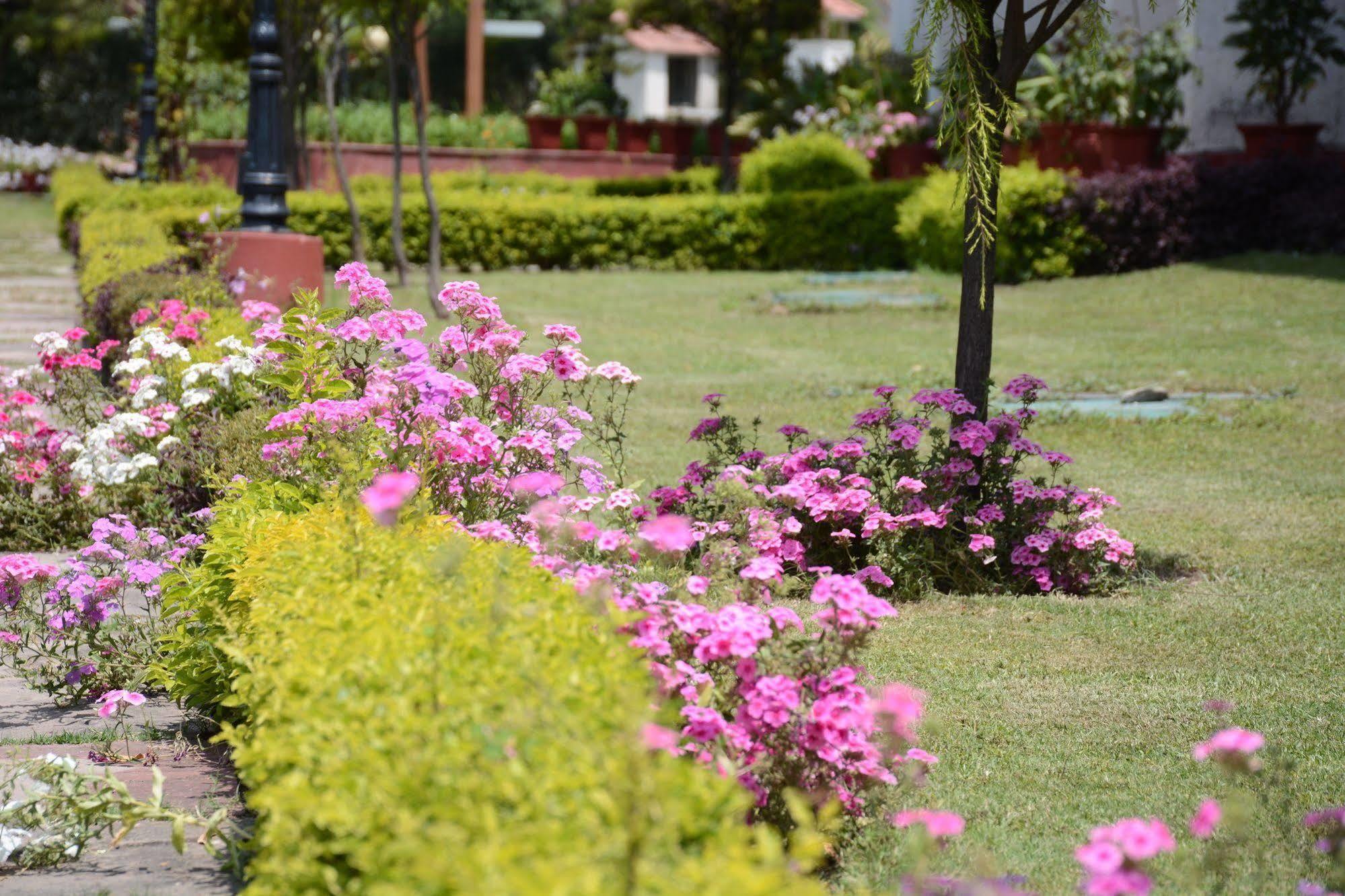 Naturoville Ayurvedic And Yoga Retreat Hotel Rishikesh Ngoại thất bức ảnh