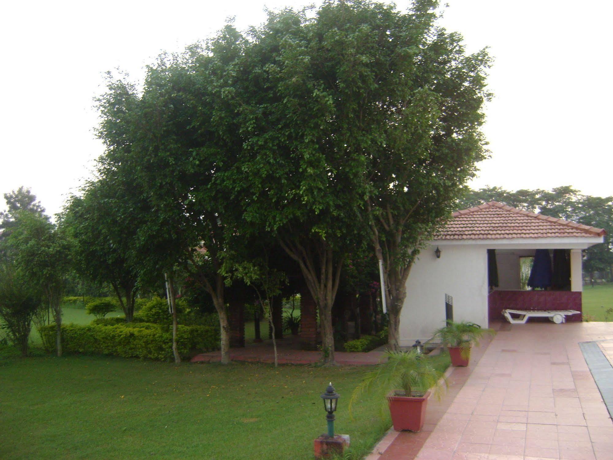 Naturoville Ayurvedic And Yoga Retreat Hotel Rishikesh Ngoại thất bức ảnh