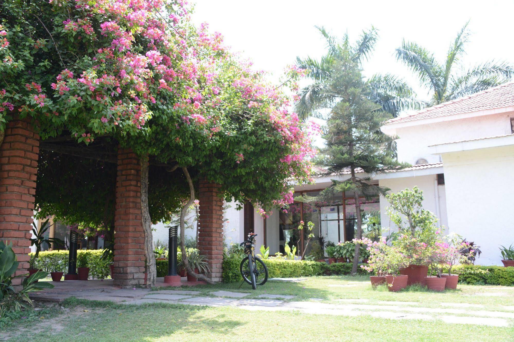 Naturoville Ayurvedic And Yoga Retreat Hotel Rishikesh Ngoại thất bức ảnh