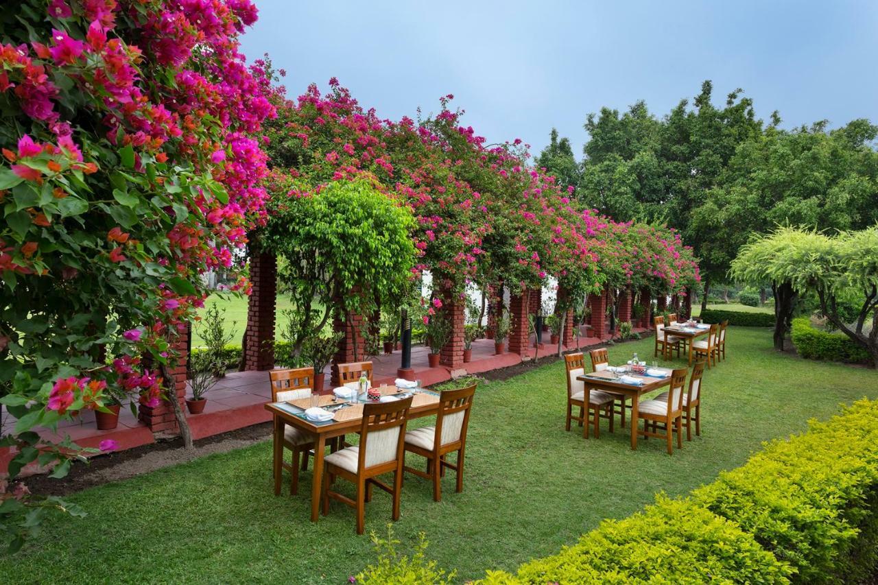 Naturoville Ayurvedic And Yoga Retreat Hotel Rishikesh Ngoại thất bức ảnh